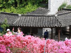 -老门东历史文化街区