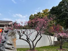 -无锡梅园公园
