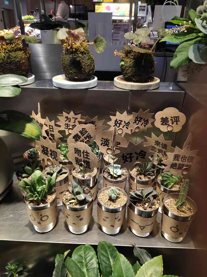 auralab植治(新天地广场店"几乎每家高档商场都能看到"植治"的摊位