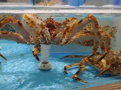 -同庆楼(滨湖万达广场店)