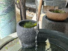 -世间香境·七溪地