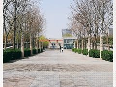 -金星公园