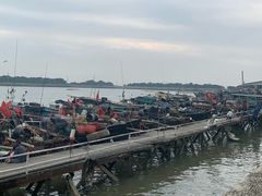 -大湾区中央湿地公园-十九涌