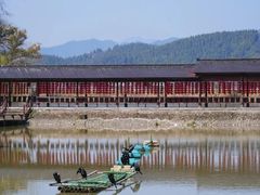 -梅城古镇