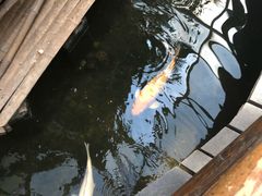 -上海大自然野生昆虫馆(东方明珠·爬宠昆虫探索中心)