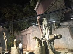 -清迈夜间动物园
