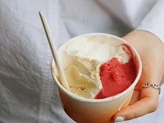 -Dip in Gelato(富民路店)