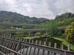 -福道