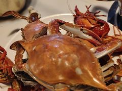 -九月海·海鲜自助(世纪东方店)
