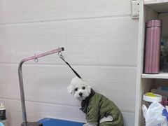 -芭比堂动物医院·心脏专科·夜诊·吉雅分院