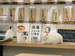 零售区-正南齐北·老街糯米团(洪崖洞店)