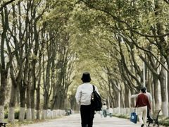 -上海鲜花港