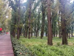 -东湖落雁景区