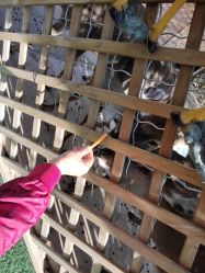 点击看大图 -萌宠亲子动物乐园(槐房万达店)