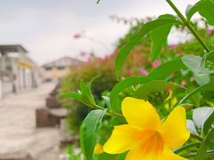 -广州市紫泥堂文化创意园景区