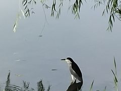 -南京市江宁方山