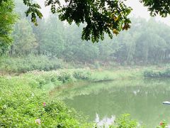 -大兴滨河森林公园