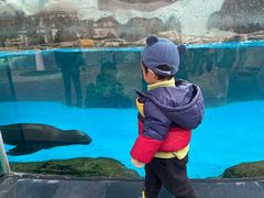 -海合安成都极地海洋公园
