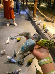 -酷嗒动物文化乐园(cutezoo西溪乐天城店)