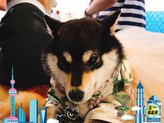 -东浩兰生上海世博展览馆