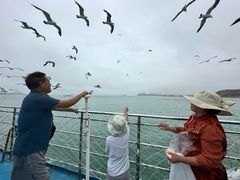-海驴岛(荣成市)