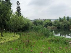 -贵阳市花溪国家城市湿地公园