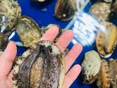 -鸿港海鲜批发市场