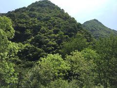 -宁波五龙潭景区