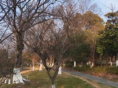 -阳澄湖费尔蒙酒店