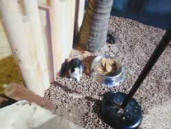 -酷嗒动物文化乐园(cutezoo西溪乐天城店)