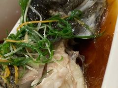 清蒸石斑鱼-赛仑吉地大酒店-中餐厅