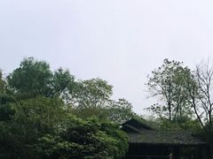-绍兴启迪乔波冰雪世界