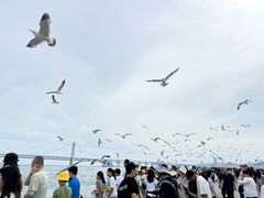 -星海广场