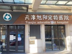 -美联众合宠物医院·爱萌分院·内外科·猫科中心