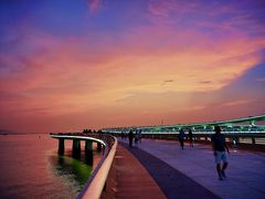 -演武大桥观景平台