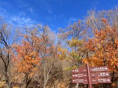 -北京西山国家森林公园