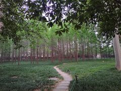 -河南省黄河迎宾馆