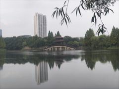 -洋湖国家湿地公园