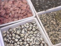 -阿南海鲜