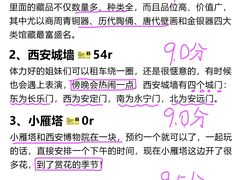 -老版火锅.12年西安排队王(沣峪口店)