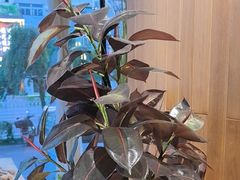-蘸小院铁锅炖·蘸酱菜·东北菜(怀远门店)