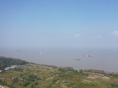 -上海滨江森林公园