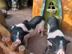 -长鹿旅游休博园