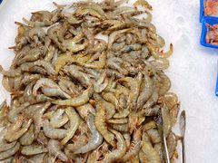 -麦德龙(郑东店)