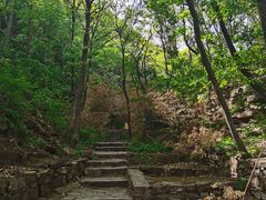 -老象峰