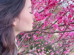 -蜀冈西峰生态公园