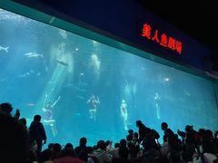 -福州罗源湾海洋世界旅游区