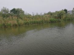 -长兴太湖图影湿地文化园