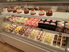 -好利来(高新枫叶广场店)