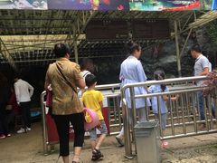 -灵栖洞天